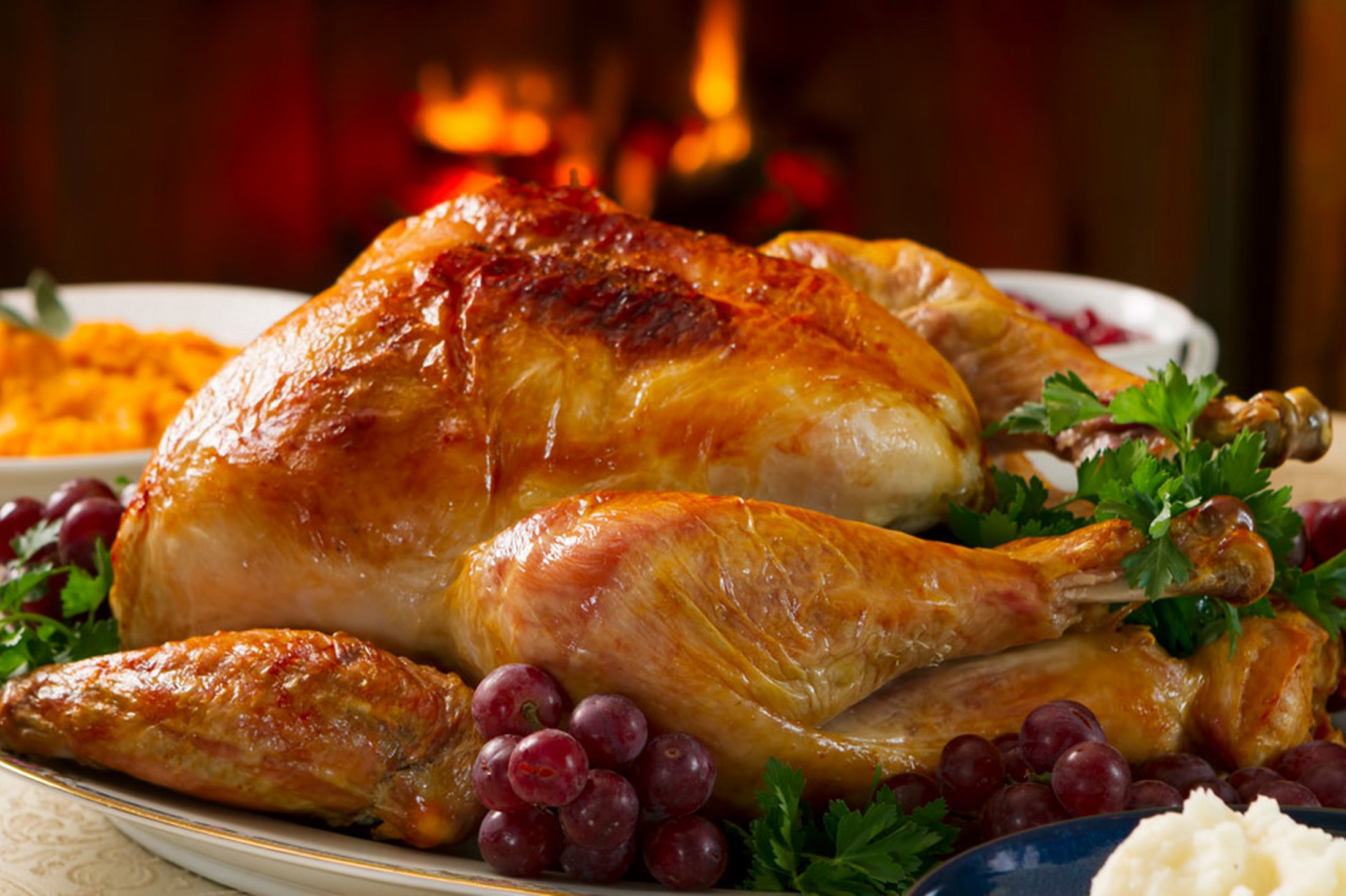 roast turkey